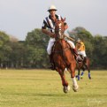 Picture Title - Umpire on the Run