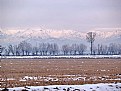 Picture Title - Winter