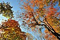 Picture Title - Remembering Last Autumn