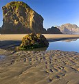 Picture Title - Ripples in the Sand