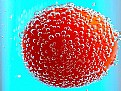 Picture Title - Tomato with bubbles