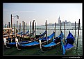 Picture Title - ..::Tribute to Venice::..