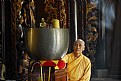 Picture Title - saigon monk