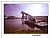 Falkirk Wheel