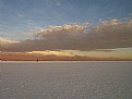 Picture Title - salar