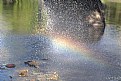 Picture Title - Arco iris