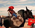 Picture Title - bull rider
