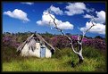 Picture Title - Kalunga's hut