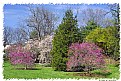 Picture Title - Spring at Longwood (d1035)