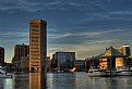 Picture Title - Baltimore Inner Harbor Skyline