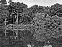 Picture Title - Grenadier Pond