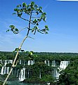 Picture Title - Iguazú Falls 11