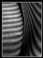 Picture Title - PLAY  OF LIGHT