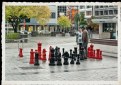 Picture Title - Chess Anybody