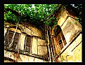 Picture Title - Portrait of an abounded house. 