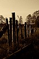 Picture Title - Fence