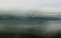 Picture Title - Wintering Sea Loch