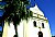 Palm Tree & Church