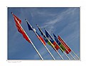 Picture Title - Flagpoles
