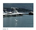 Picture Title - Budva 2