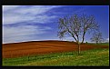 Picture Title - "terre rosse"