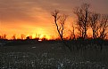 Picture Title - Sunset Elm Crk Park