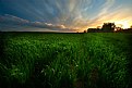 Picture Title - Field at Dusk