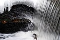 Picture Title - Water Forms