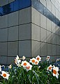 Picture Title - Spring in the nord
