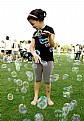 Picture Title - BUBBLE 