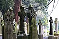 Picture Title - glasnevin cemetery