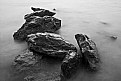 Picture Title - Stones B&W