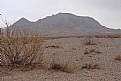 Picture Title - Arid