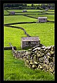 Picture Title - The Dales