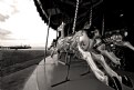 Picture Title - Brighton Carousel