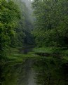 Picture Title - springs canopy