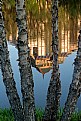 Picture Title - Birch and Carlson Tower reflection