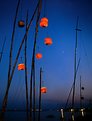 Picture Title - An Evening in Varanasi