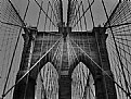 Picture Title - Brooklyn Bridge top