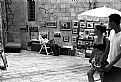 Picture Title - Paintings Seller