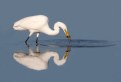 Picture Title - GWE Fishing