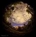 Picture Title - Fish Eye