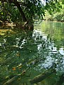 Picture Title -  Brasil :: Bonito - Mato Grosso do Sul :: 