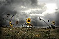 Picture Title - Standing before the storm