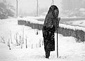 Picture Title - Winter of her life