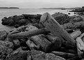 Picture Title - Northern Forms (BW)