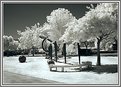 Picture Title - Park Sculpture Infrared