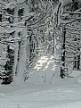 Picture Title - Winter scene #3