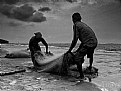 Picture Title - Fishing Net