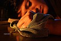Picture Title - In the fall of the sleep